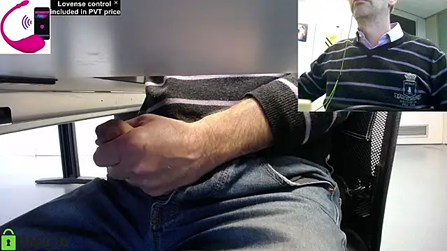 pliko online show from 11, 11, 2025