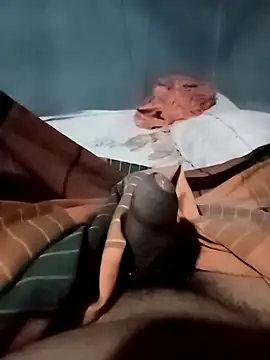 Snapshot of Nirmaana76 chatting on 15, 2, 2026 Nirmaana76 online show from 15, 2, 2026