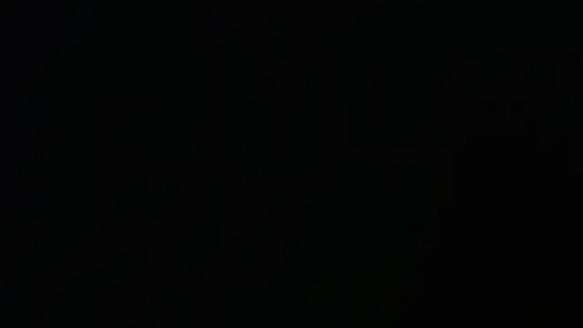 seeker797 online show from 17, 3, 2026