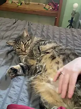 jaseyrae online show from 13, 3, 2025