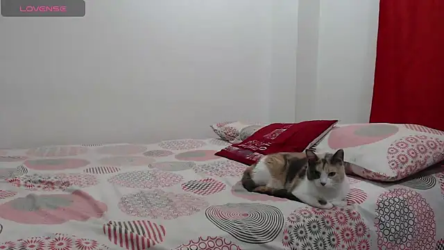 Aroon Stonne online show from 5, 6, 2026