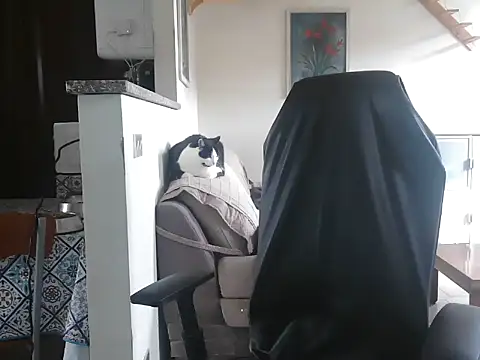 simona60 online show from 14, 4, 2026