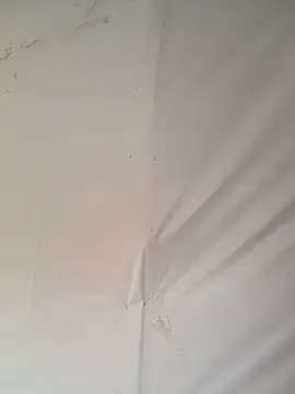 Ebony nasty girl online show from 13, 2, 2026