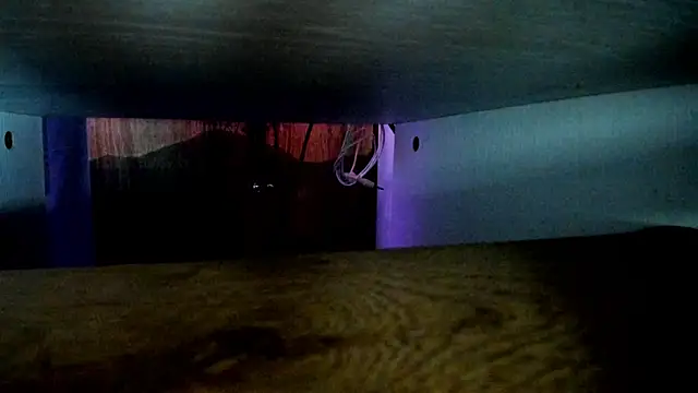 any sophia online show from 8, 4, 2026