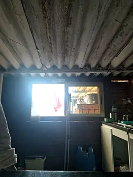 mila38 online show from 18, 11, 2025