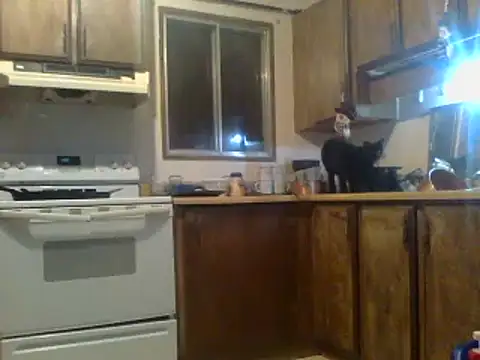 Ryoko Momoko online show from 28, 1, 2025