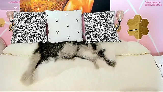 Maryelle online show from 31, 1, 2026