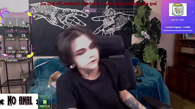 Dark  Elf online show from 20, 6, 2026