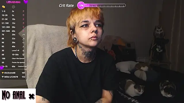Dark  Elf online show from 8, 1, 2025