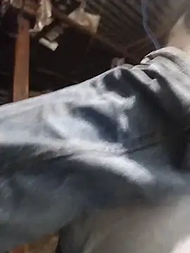 rohanhotguy online show from 14, 3, 2026