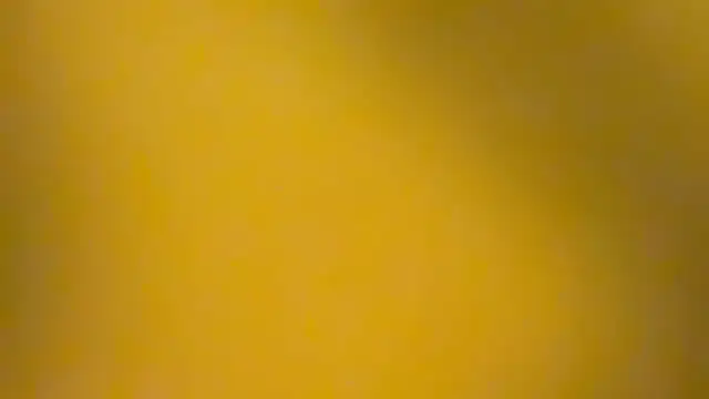 Snapshot of fmodel chatting on 3, 1, 2025 fmodel online show from 3, 1, 2025