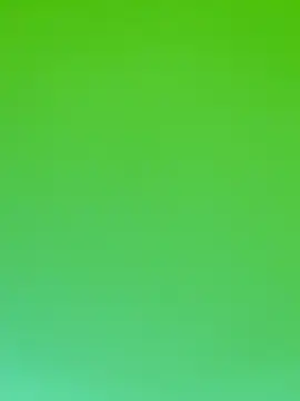 fmodel online show from 13, 11, 2025