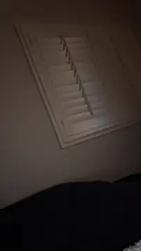 pussyaddict21 online show from 8, 1, 2025