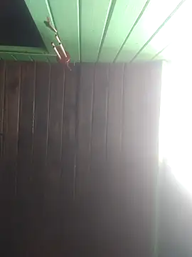 Alvaro2017 online show from 22, 2, 2026