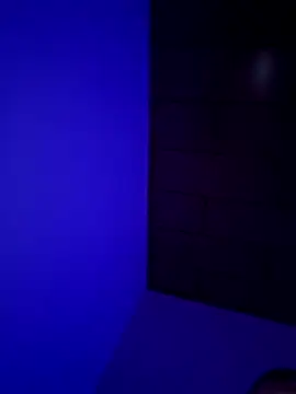 Pavelbure77 online show from 15, 2, 2026