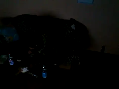 ZDRAVKICH online show from 23, 12, 2024