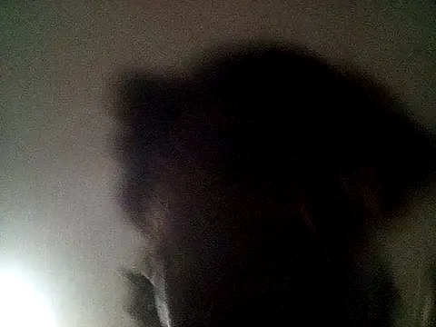 blasphemous online show from 7, 2, 2025