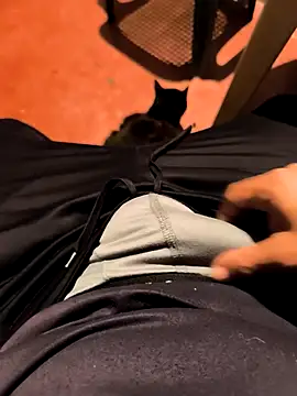 dickbastienweed online show from 27, 3, 2026