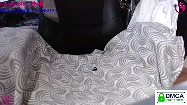 sweet cute cat online show from 15, 12, 2025