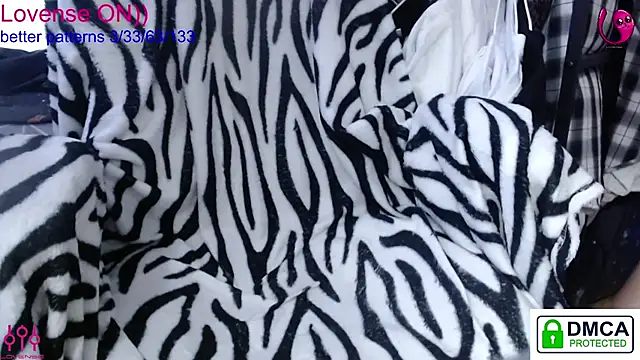 sweet cute cat online show from 18, 1, 2026