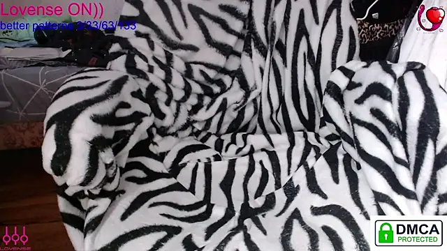 sweet cute cat online show from 8, 2, 2026