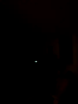 tropikboy online show from 7, 11, 2025