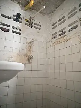 Carrington- online show from 3, 3, 2026