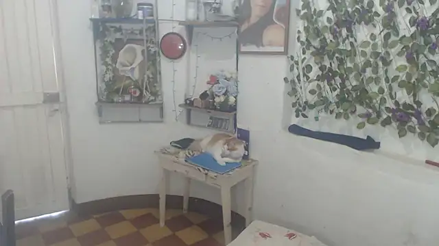 FunnyGrandma online show from 11, 2, 2026