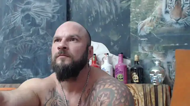 viking 30 online show from 25, 9, 2025