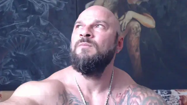 viking 30 online show from 24, 7, 2026