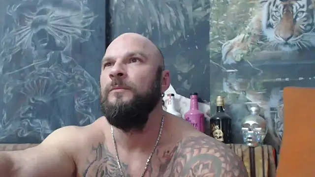 viking 30 online show from 29, 9, 2025