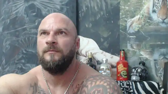 viking 30 online show from 6, 6, 2026