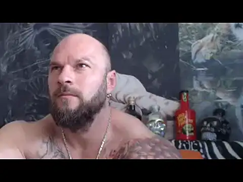viking 30 online show from 14, 5, 2026
