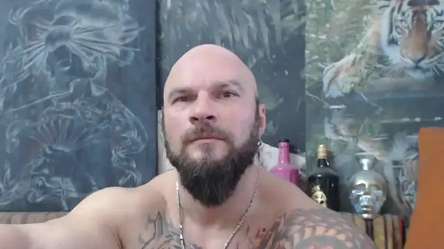 viking 30 online show from 28, 11, 2025