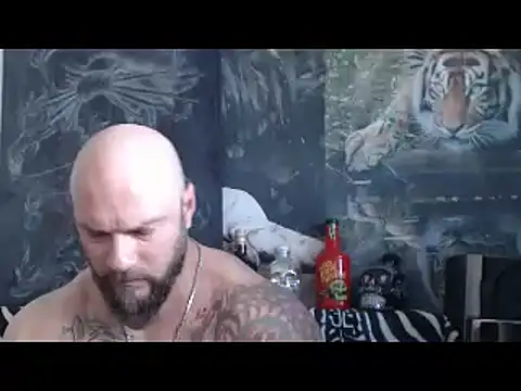 viking 30 online show from 20, 4, 2026