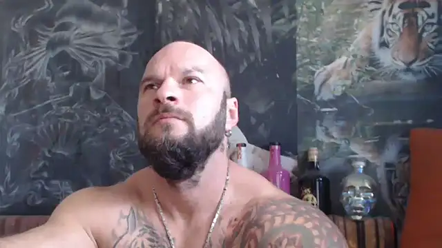 viking 30 online show from 21, 10, 2025