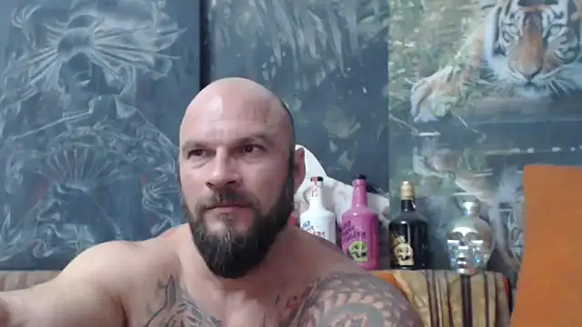 viking 30 online show from 19, 9, 2025