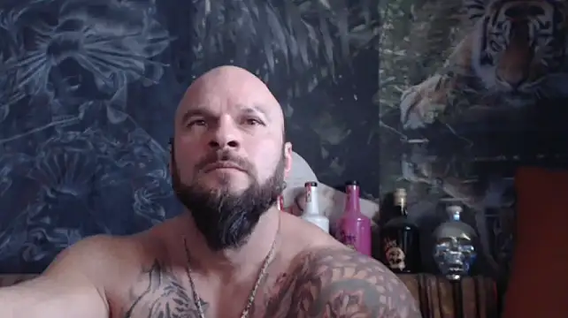 viking 30 online show from 20, 11, 2025