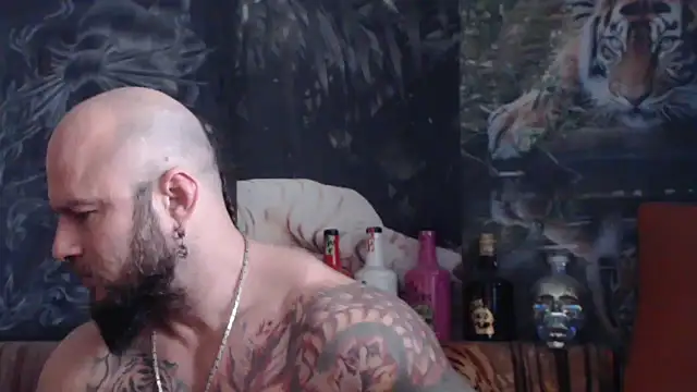 viking 30 online show from 12, 11, 2025