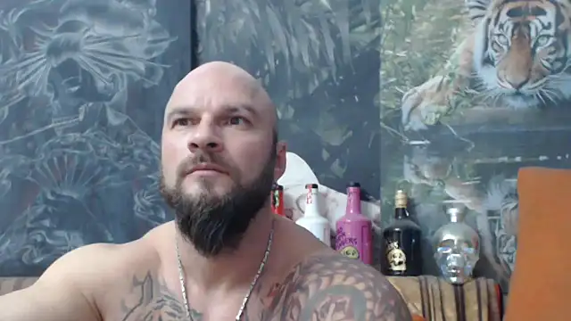 viking 30 online show from 19, 11, 2025