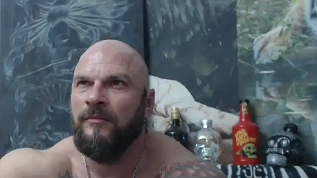 viking 30 online show from 26, 5, 2026