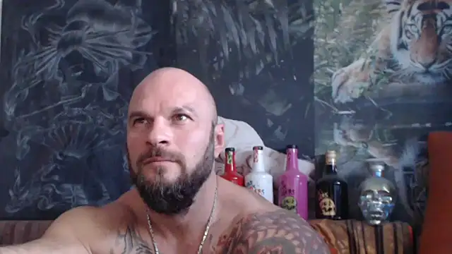 viking 30 online show from 15, 10, 2025