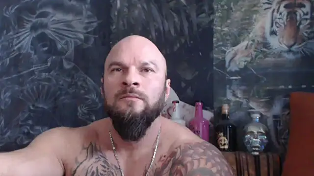 viking 30 online show from 21, 11, 2025