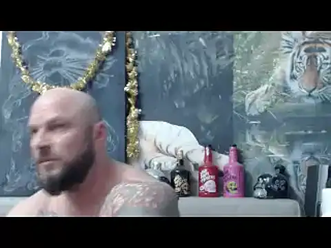 viking 30 online show from 19, 3, 2026