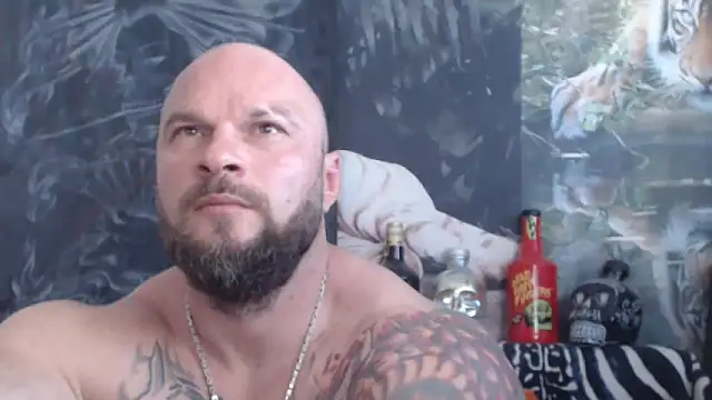 viking 30 online show from 5, 6, 2026