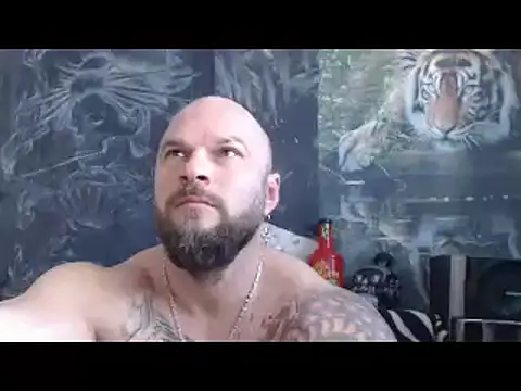 viking 30 online show from 14, 4, 2026