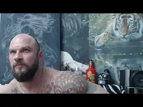 viking 30 online show from 17, 4, 2026