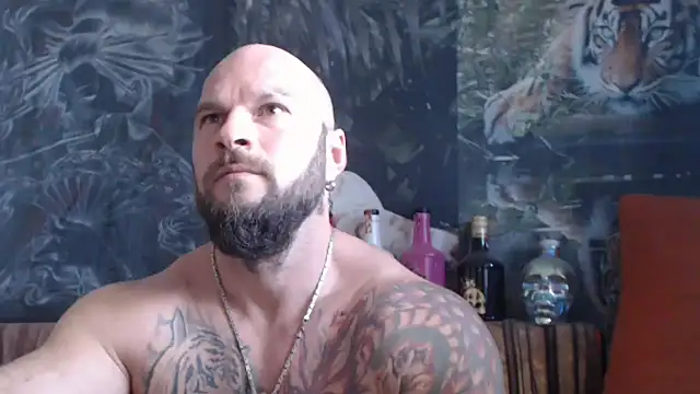 viking 30 online show from 5, 10, 2025