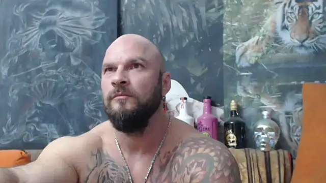 viking 30 online show from 11, 10, 2025