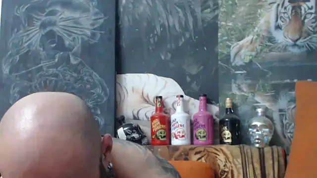 viking 30 online show from 12, 10, 2025